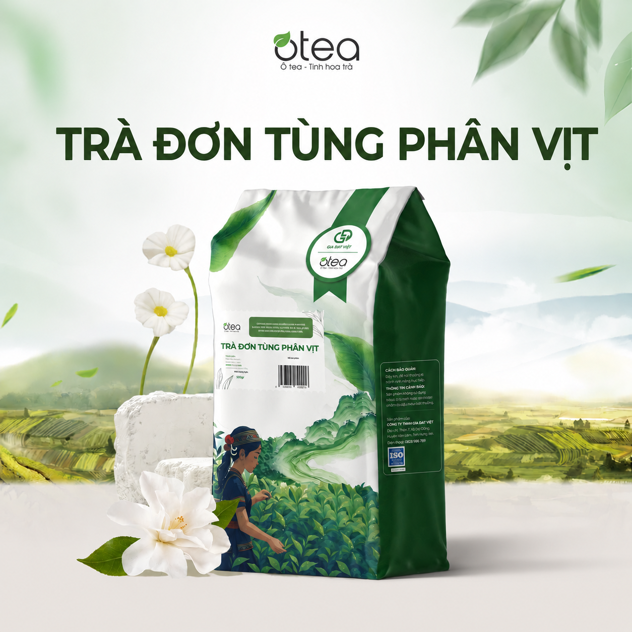 Đơn Tùng Phân Vịt