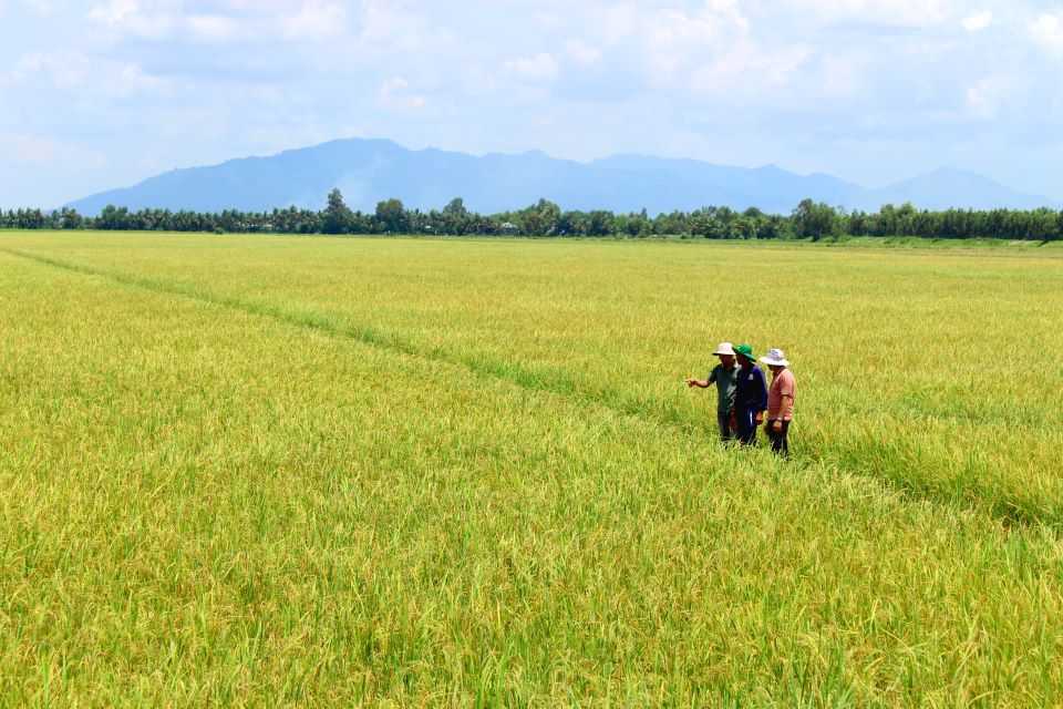 VÙNG NGUYÊN LIỆU