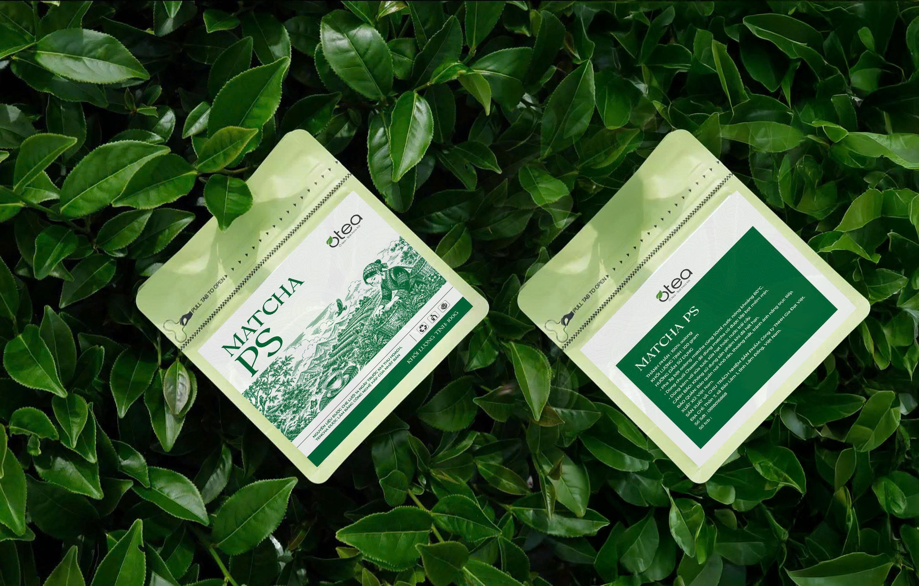 Matcha Ps