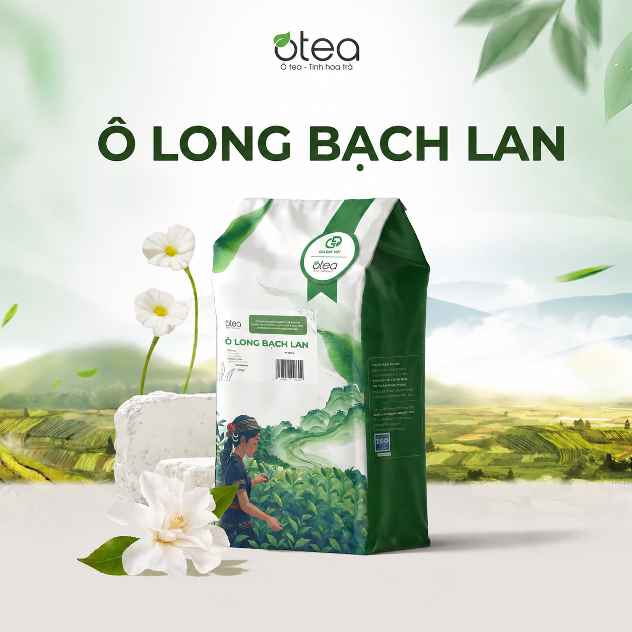Ô Long Bạch Lan
