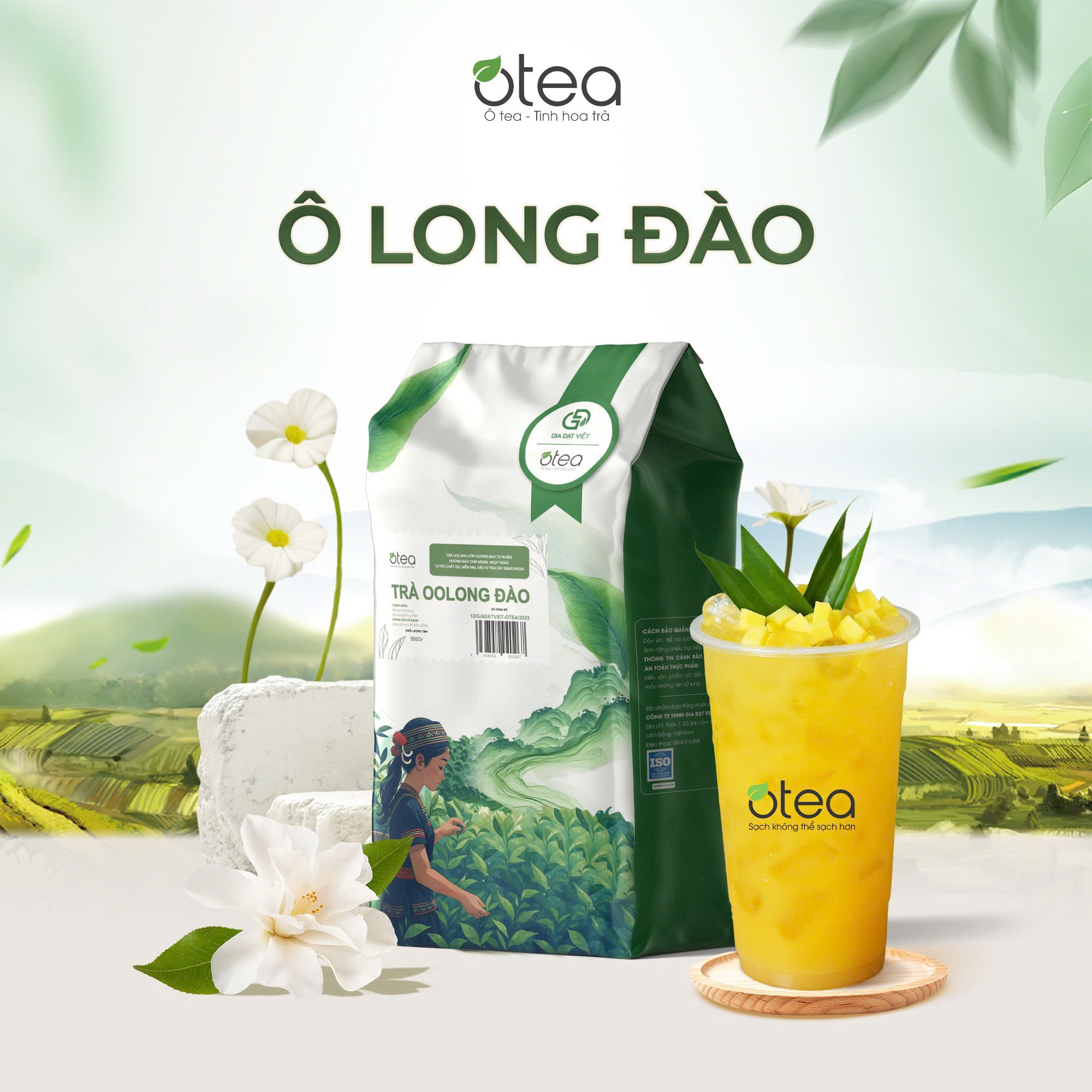Ô Long Đào