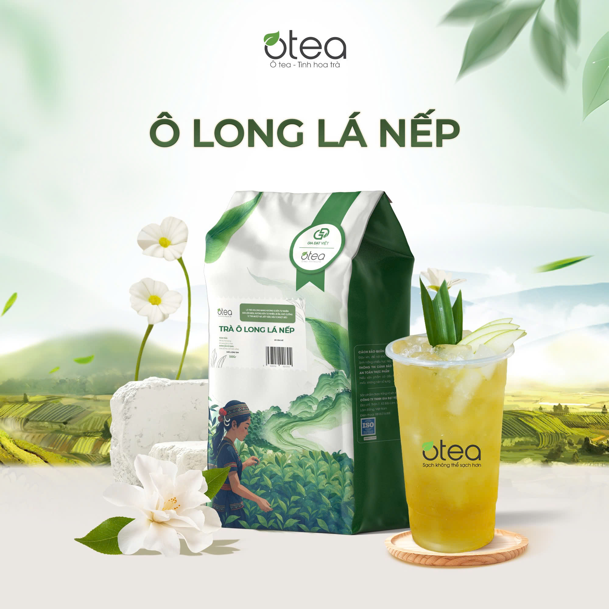 Ô Long Lá Nếp
