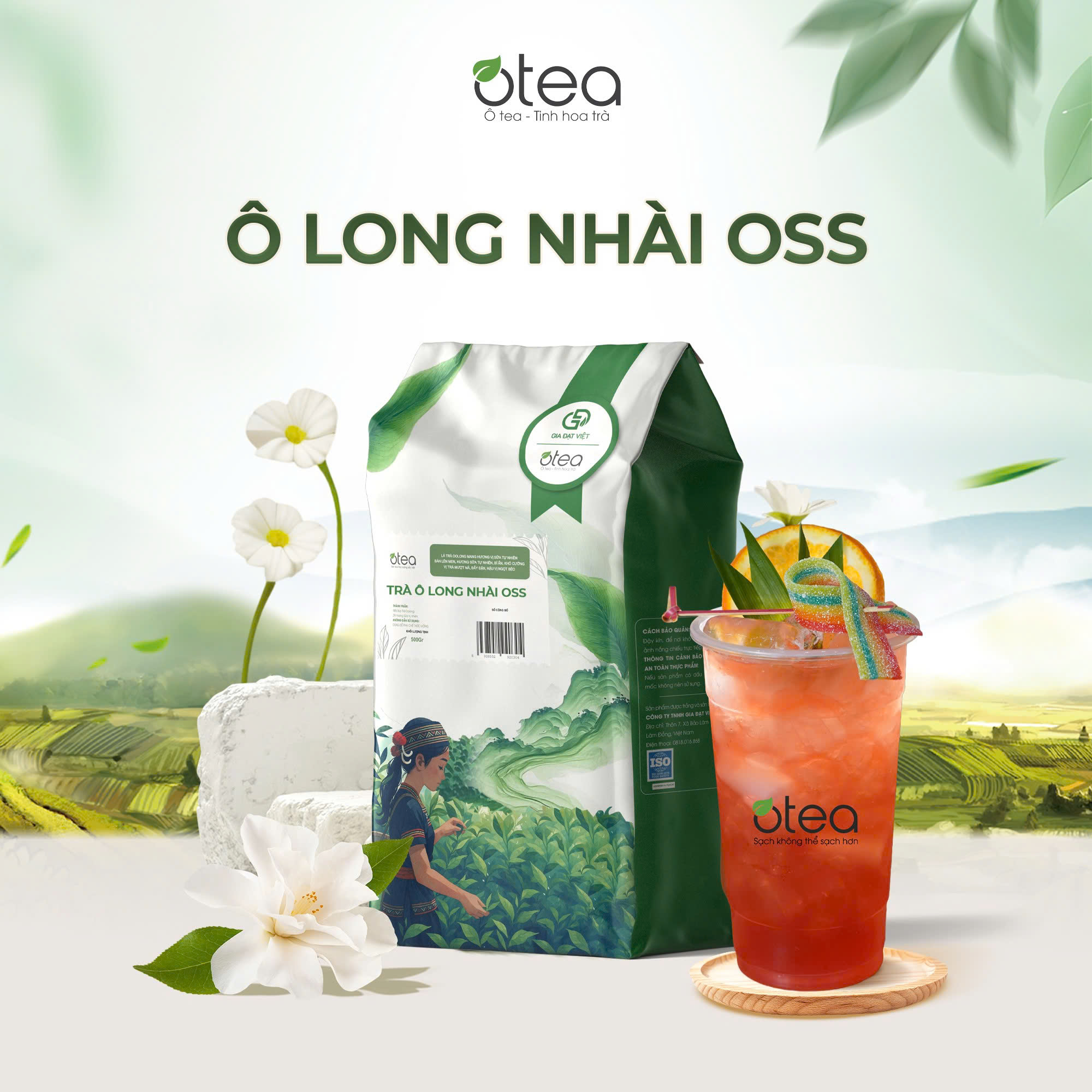 Ô Long Nhài Oss