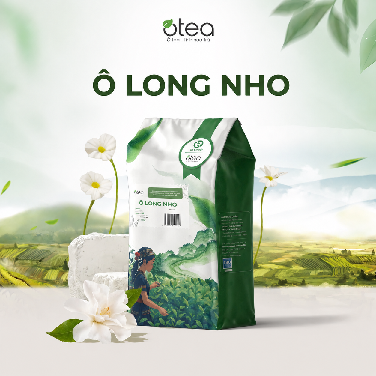 Ô Long Nho