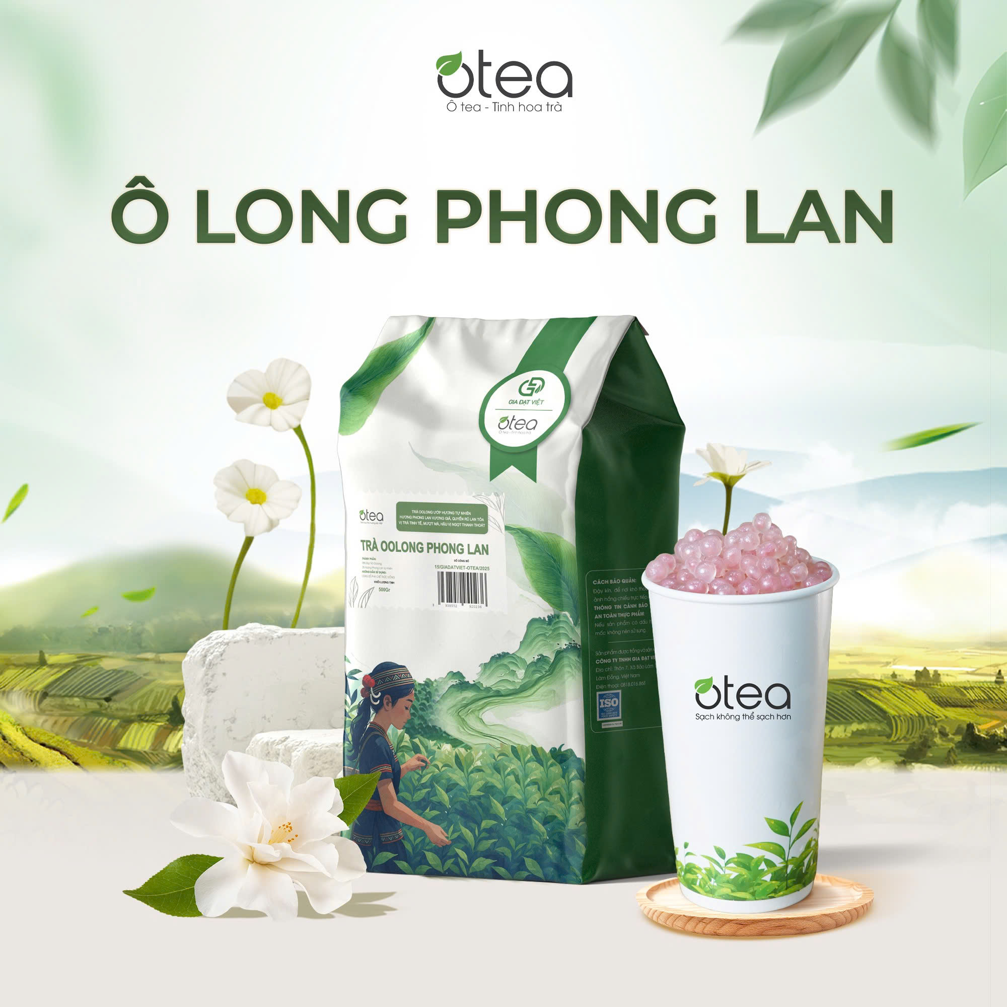 Ô Long Phong Lan