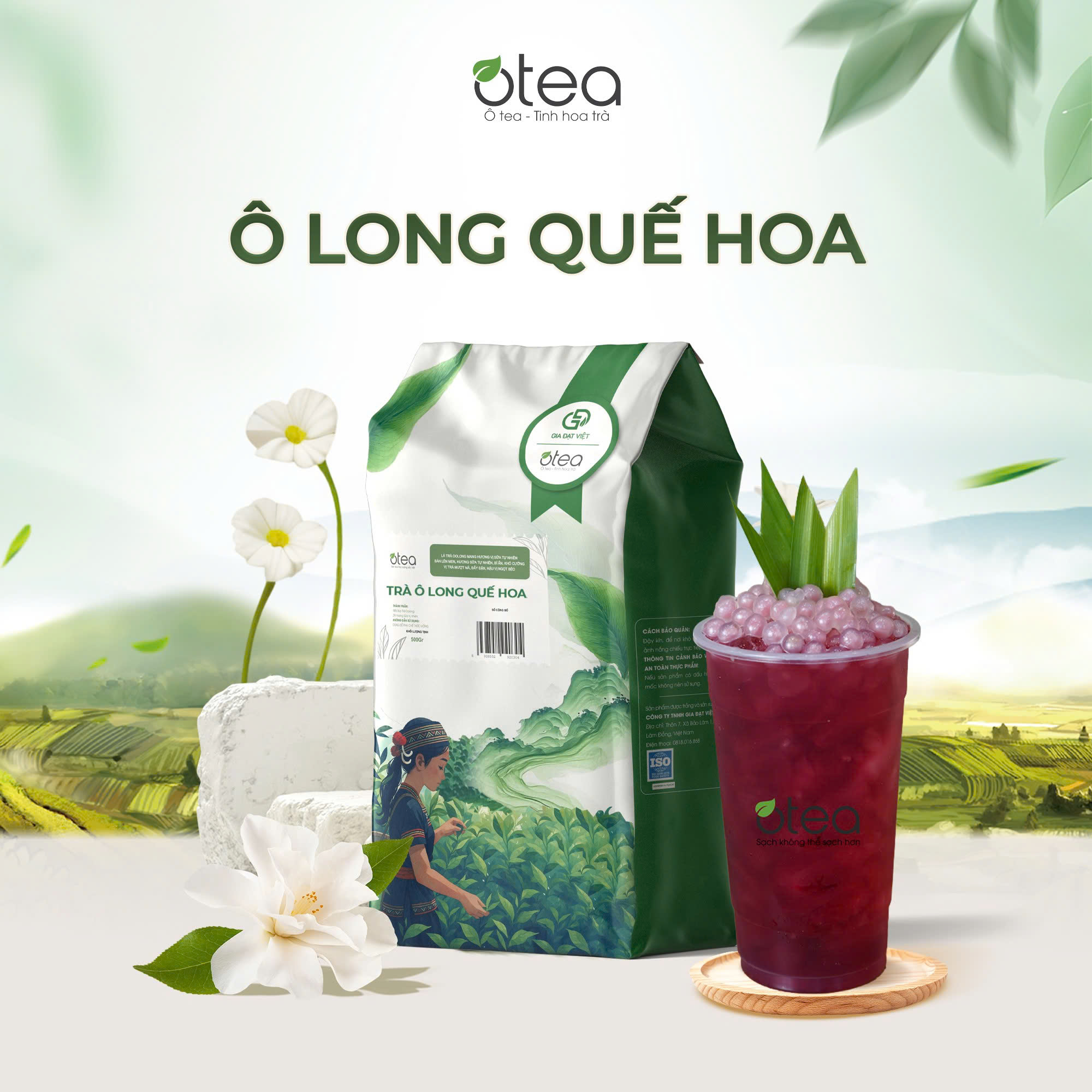 Ô Long Quế Hoa