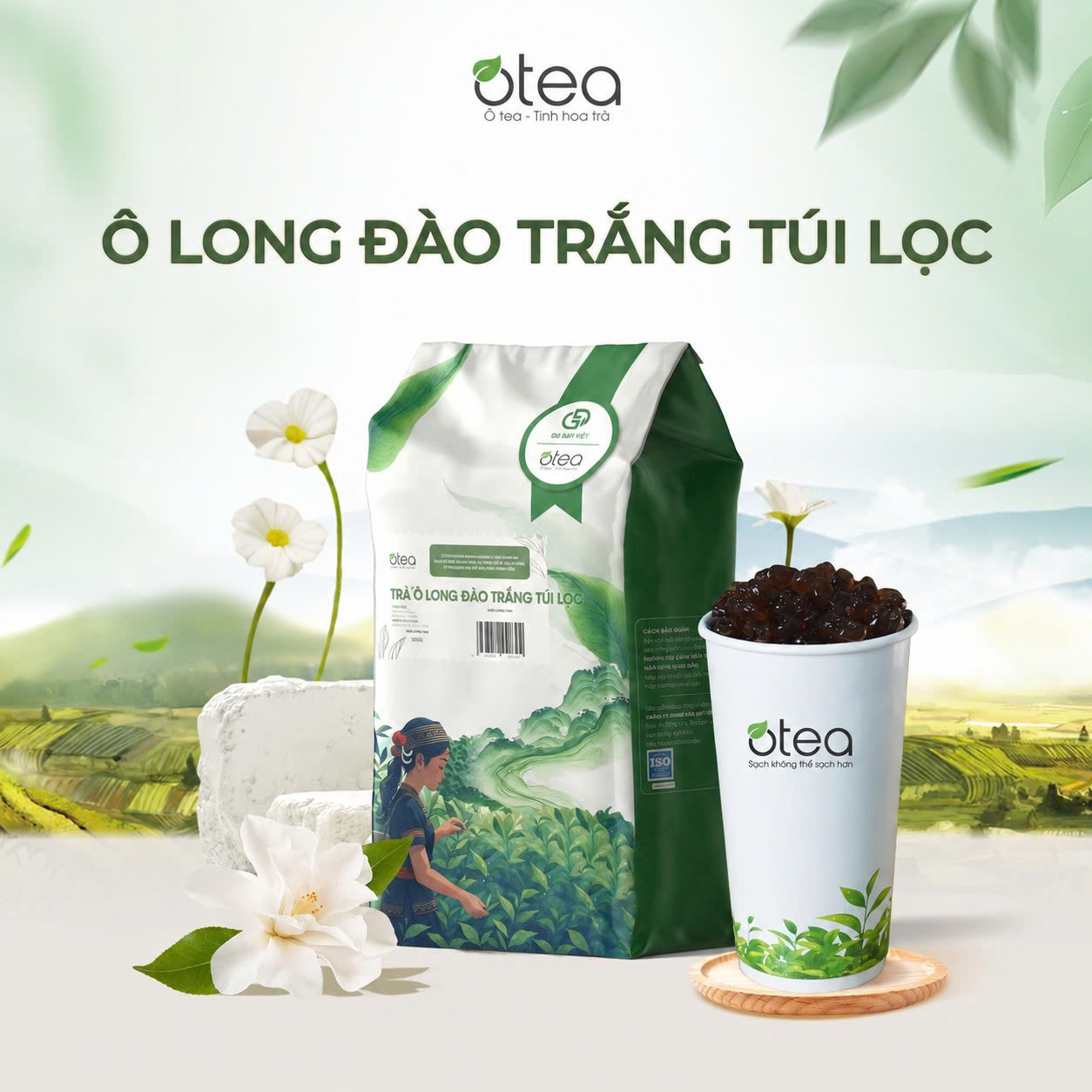 Ô Long Đào Trắng Túi Lọc