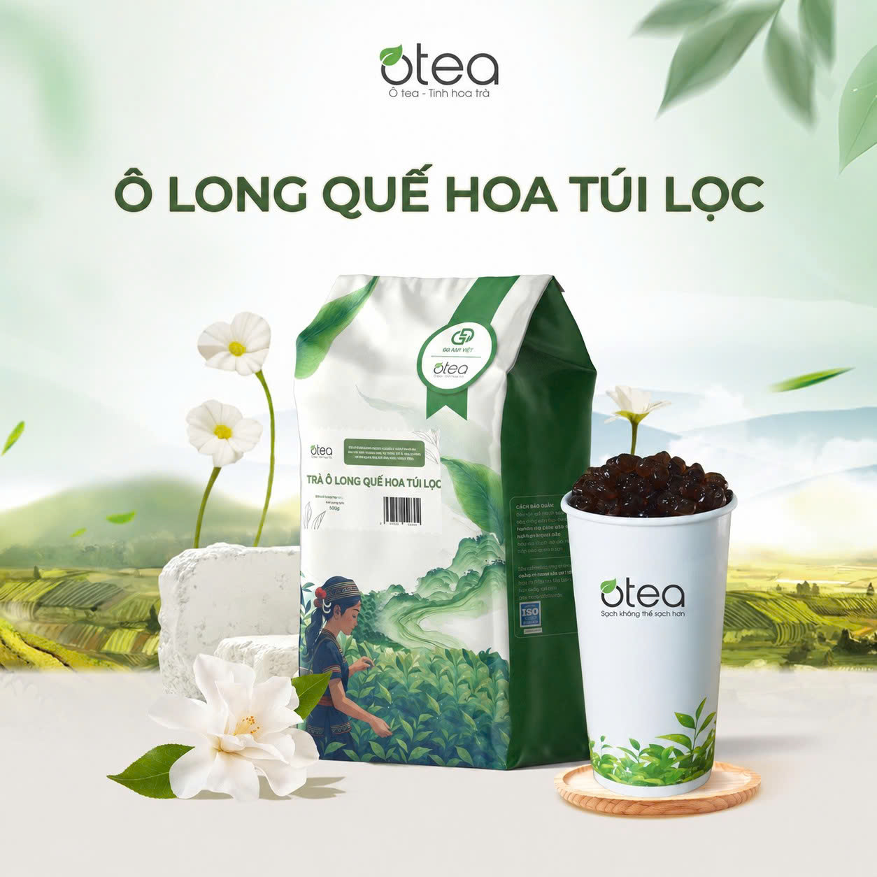 Ô Long Quế Hoa Túi Lọc