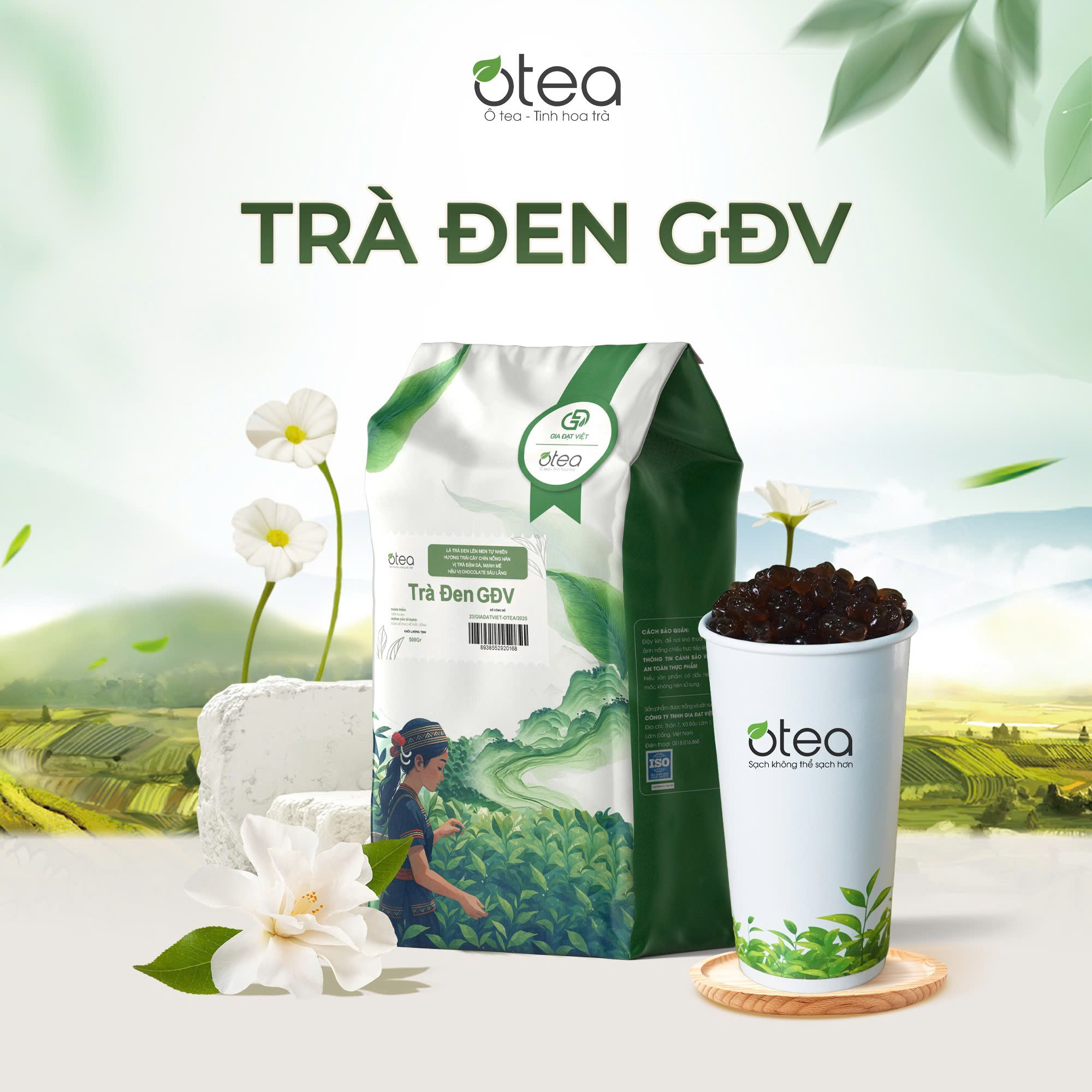 Trà Đen GĐV