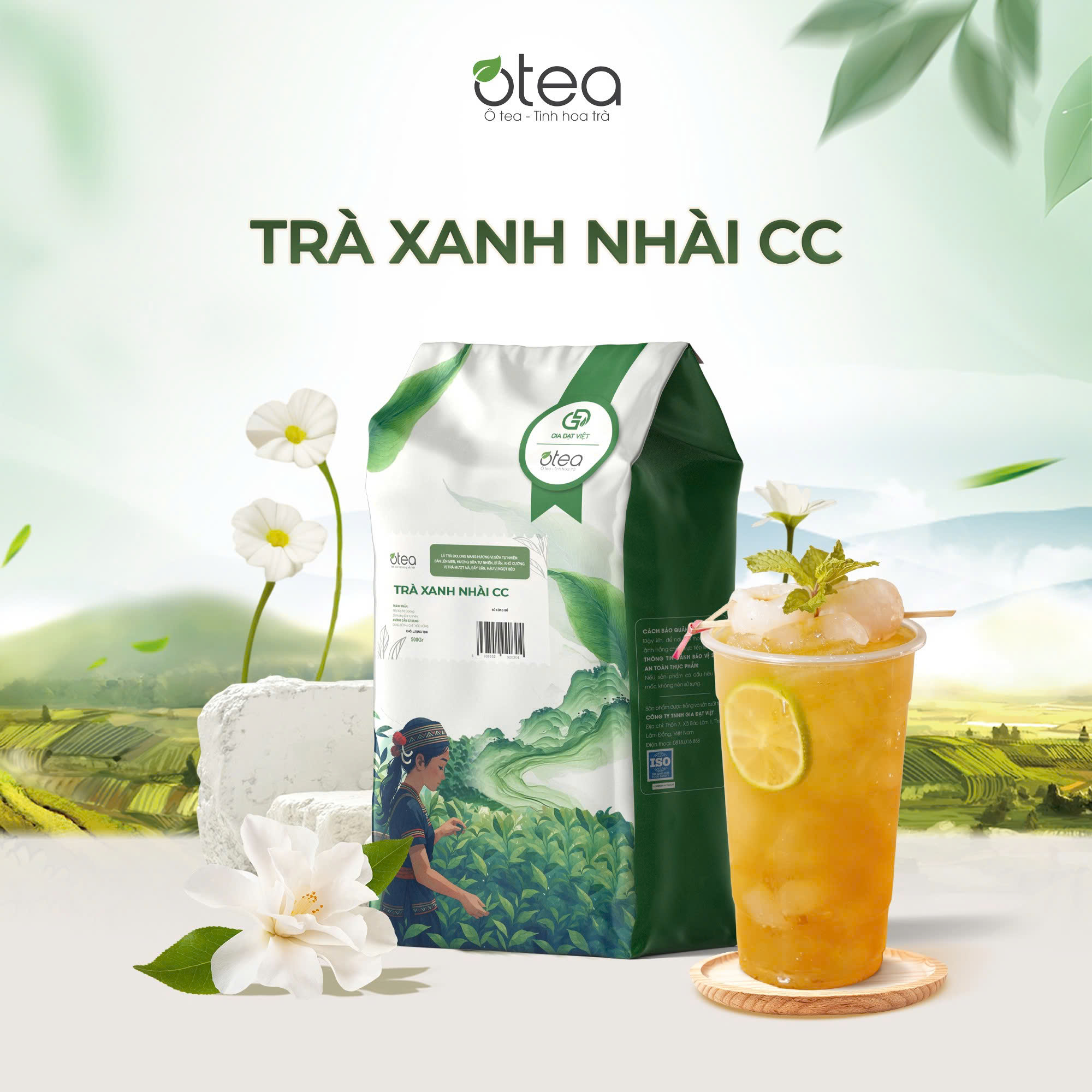 Trà Xanh Nhài CC