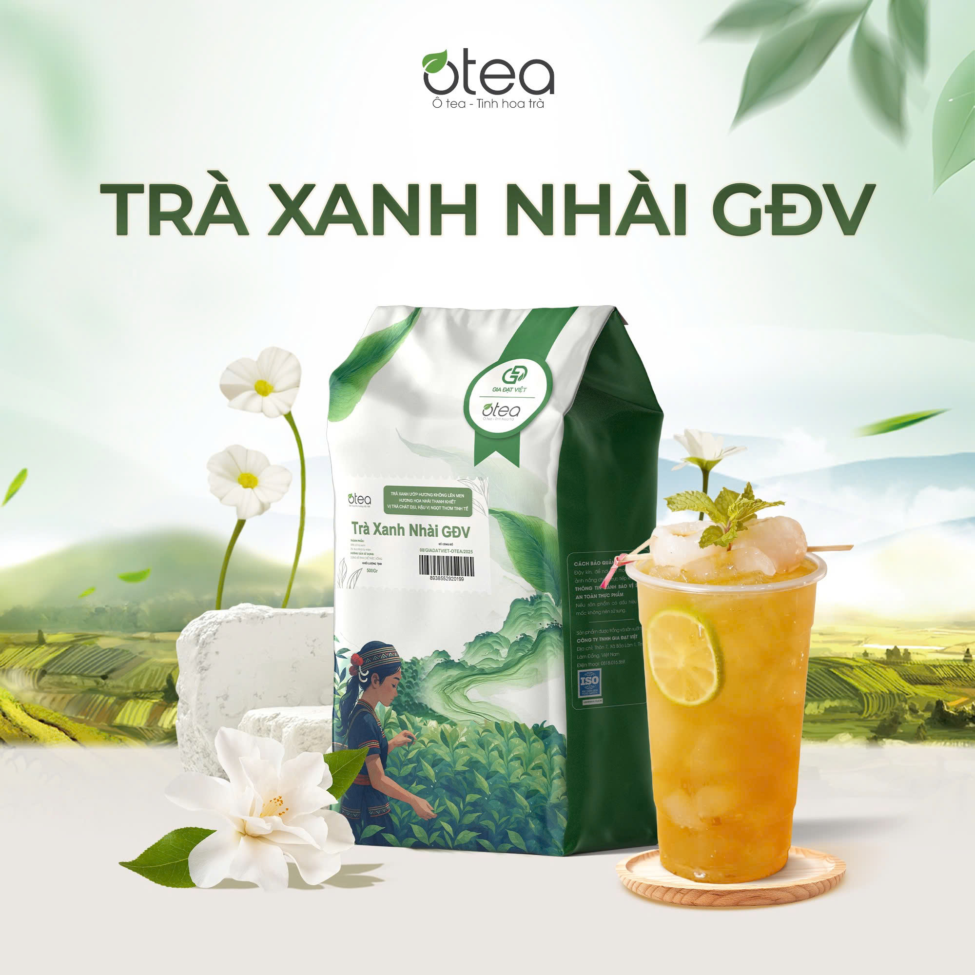 Trà Nhài Xanh GĐV