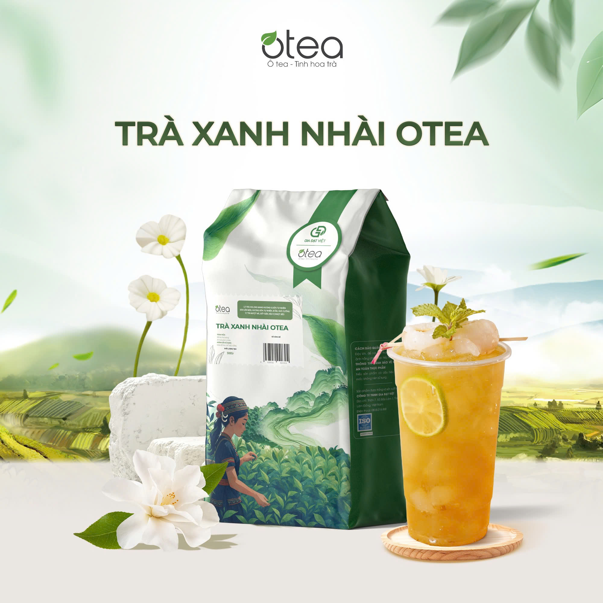 Trà Xanh Nhài OTEA