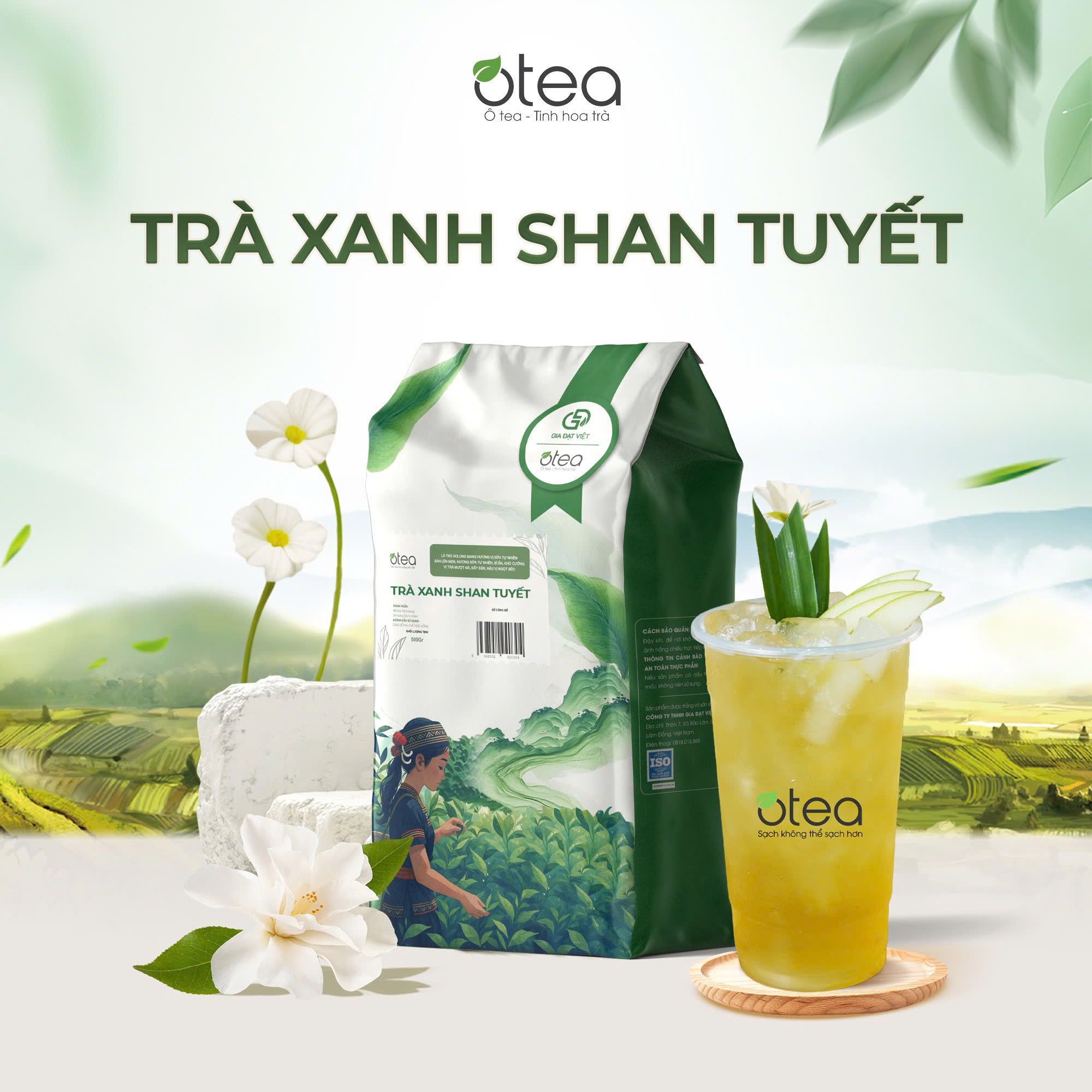 Trà Xanh Shan Tuyết